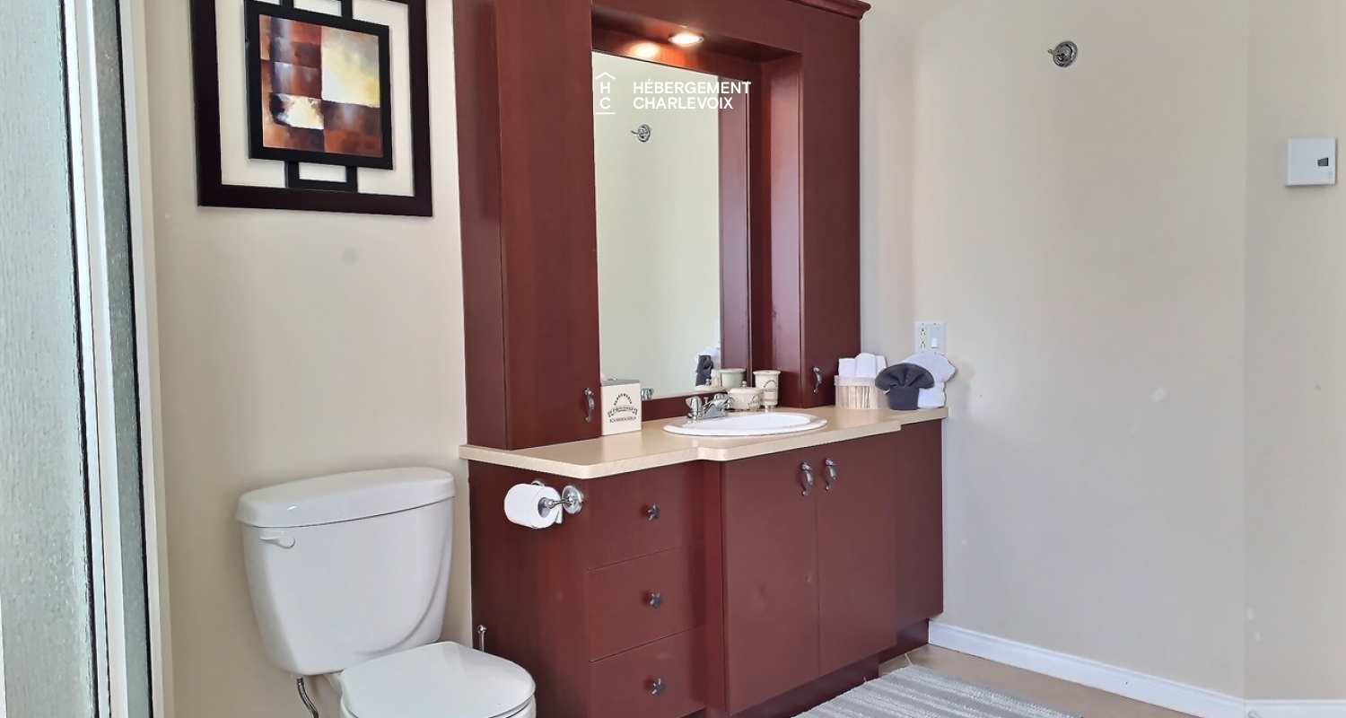 BOI-2 - Large chalet with billiards, spa and nature